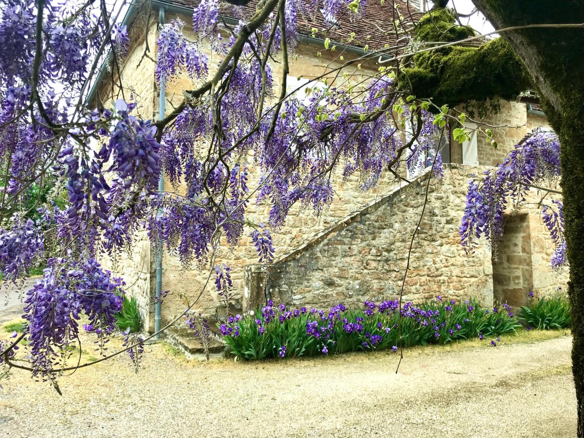 Manoir De Rieuzal Bed & Breakfast Loubressac Exterior photo